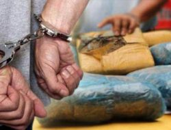 Satres Narkoba Polres Indramayu Gelandang Kurir Ganja