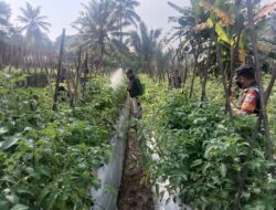 Suburkan Lahan Demplot, Satgas Citarum Harum sektor 13 gunakan Aplikasi BIOS-44