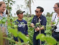 PT Ewindo Luncurkan Aplikasi Sipindo Untuk Bantu Petani di Indonesia