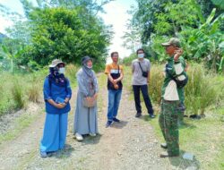 Kembangkan Tanaman Vertiver, Satgas Citarum Harum sektor 13 Dikunjungi Badan Riset dan Inovasi Nasional (BRIN)