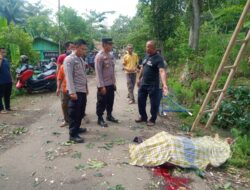 Terjatuh dari Pohon, Pria Tua di Purwakarta Tewas