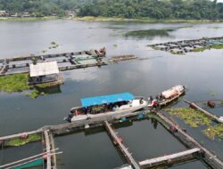 Jaga Exosistem Waduk Jatiluhur, Jasa Tirta II Pelopori Penertiban Ribuan KJA