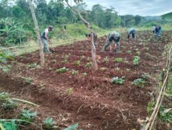 Cegah Potensi Bencana, Ini yang Dilakukan Satgas Citarum Harum sektor 13 pada Lahan Kritis