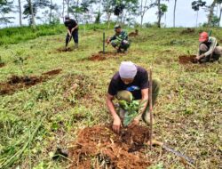Tanggap Bencana, Ini yang Dilakukan Satgas Citarum Harum sektor 13 Dilahan Kritis