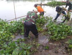 Jaga Kebersihan DAS, Satgas Citarum Harum sektor 13 Angkat Eceng Gondok dari Sungai Citarum