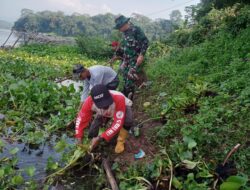 Jaga Kebersihan DAS, Satgas CH sektor 13 Angkat Eceng Gondok dari Sungai Citarum