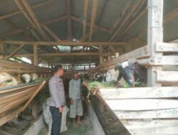 Jelang Idul Adha, Polsek Plered Cek Kondusifitas Pasar Hewan