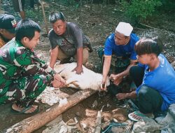 Moment Idul Adha, Satgas CH Sektor 13 Berqurban di Ponpes Darul Qalam 
