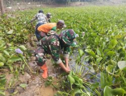 Jaga Kebersihan DAS, Satgas CH sektor 13 Angkat Eceng Gondok dari Sungai Citarum