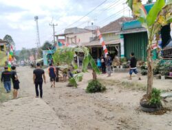Jalan Rusak tak Kunjung Diperbaiki, Warga Desa Pasirangin Tanam Pohon Pisang Ditengah Jalan    
