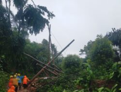 326 Petugas PLN UID Jabar “All Out” Pulihkan Kelistrikan di Sukabumi dan Cianjur