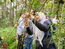 Panen Raya Kopi di Situ Cimeuhmal, Jasa Tirta II Kampanyekan Urgensi Jaga Ekosistem DAS Citarum