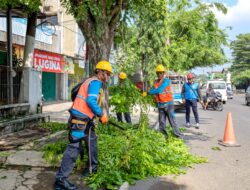 PLN UP3 Purwakarta Gelar Pemeliharaan Jaringan Gabungan di Penyulang Legokhuni guna Tingkatkan Keandalan Listrik sambut Hari Pelanggan Nasional