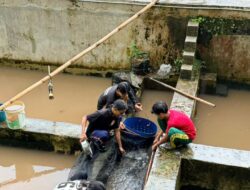 Dukung Kemandirian Ekonomi Pesantren, YBM PLN UP3 Purwakarta Berikan Bantuan Modal Usaha Budidaya Ikan di Ponpes Kebangsaan Siti Aminah Subang