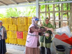 Perempuan Berdaya & Berkarya, Srikandi PLN UP3 Purwakarta Hadir dalam Peresmian Mesin Pencacah Sampah di Sekolah Alam Purwakarta