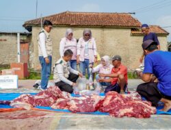 Maknai Idul Adha 1447 H dengan Berbagi, YBM PLN UP3 Purwakarta Tebar Berkah Daging di Desa Sukajadi